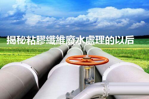 揭秘粘膠纖維廢水處理的以后之路？